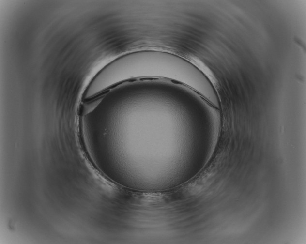 X0000091201144200708231525