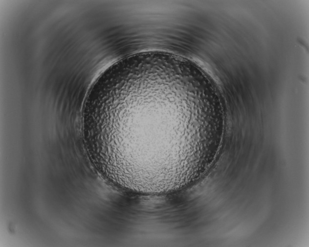 X0000091201145200708231525
