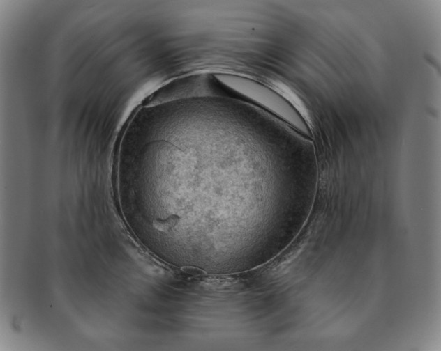 X0000091201146200708231525