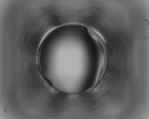 X0000091201148200708231525