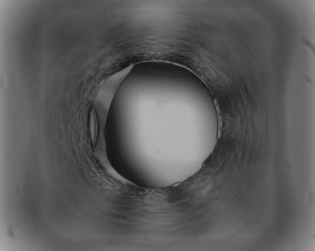 X0000091201153200708231524