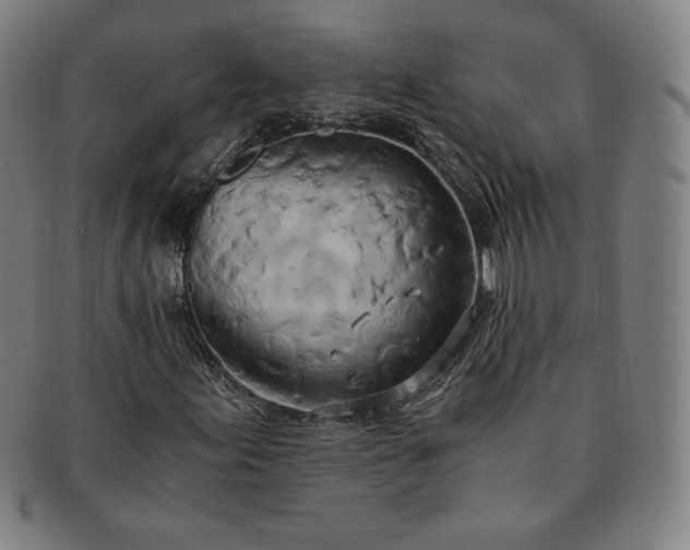 X0000091201155200708231524