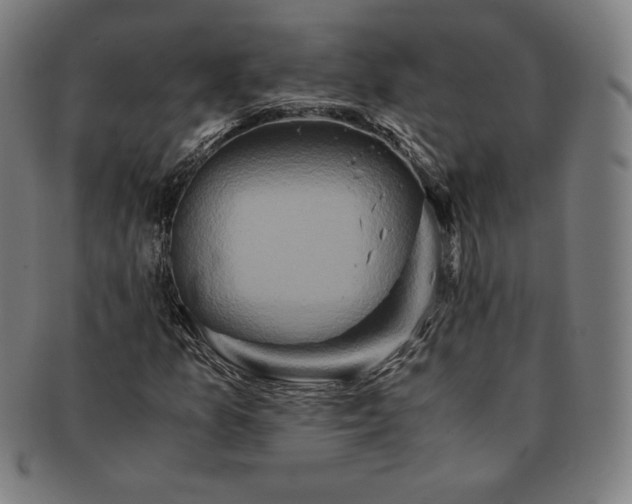 X0000091201157200708231524