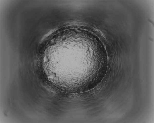 X0000091201159200708231524