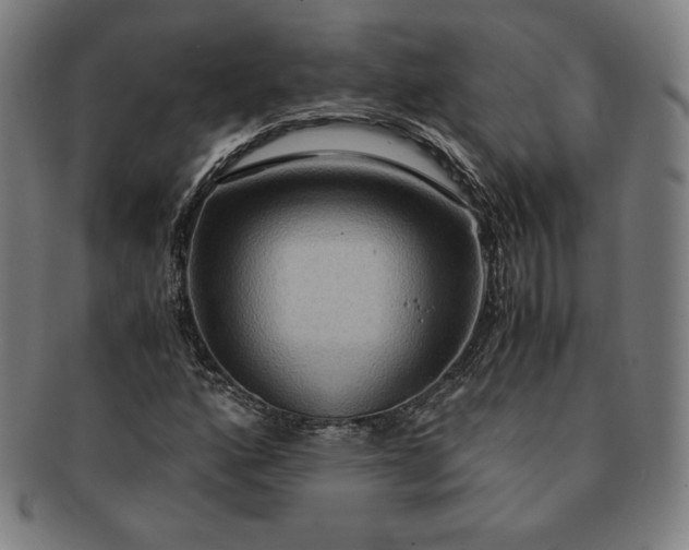 X0000091201160200708231524