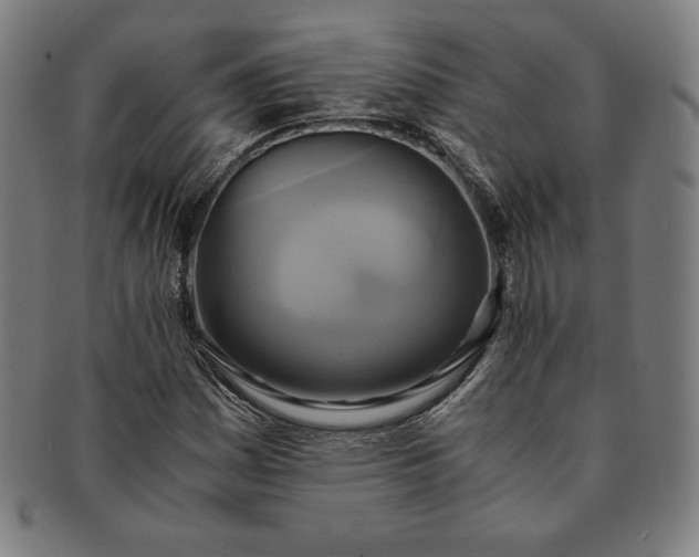 X0000091201161200708231524