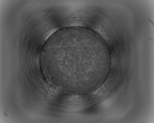 X0000091201162200708231524