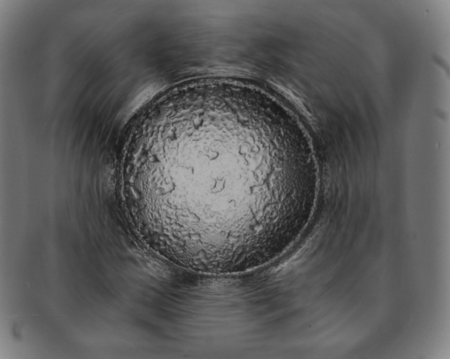 X0000091201163200708231524