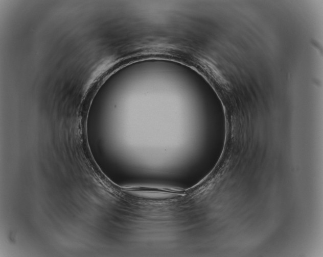 X0000091201164200708231524