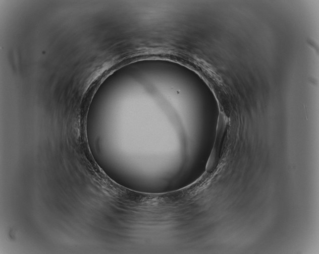 X0000091201165200708231524