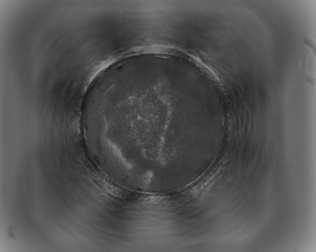 X0000091201166200708231524