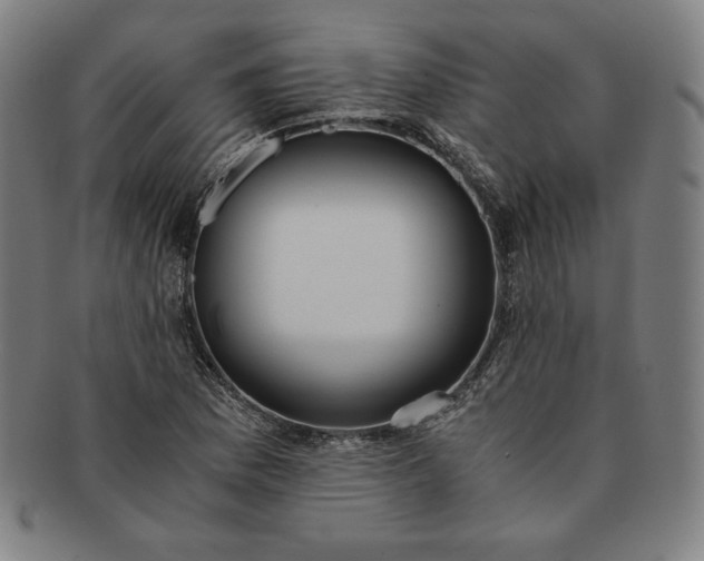 X0000091201169200708231524