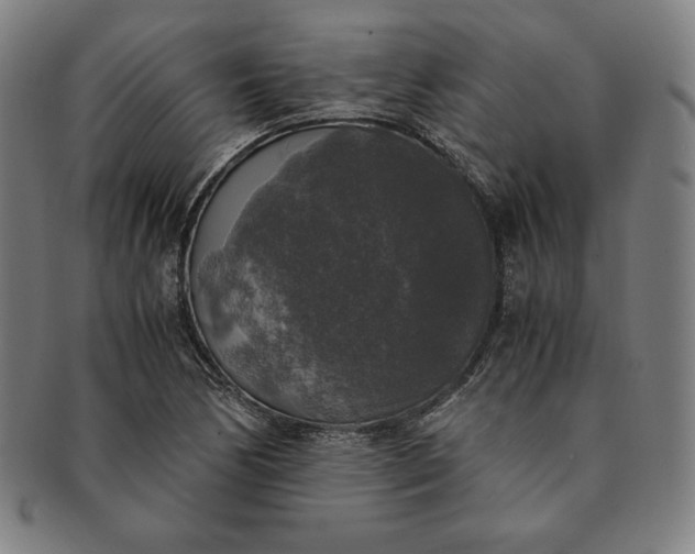 X0000091201170200708231524