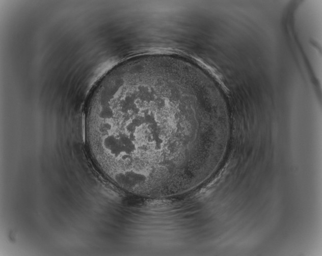 X0000091201171200708231524