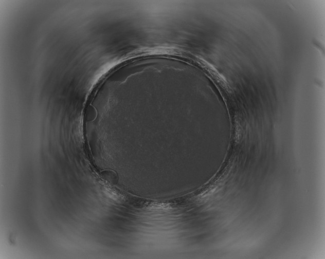 X0000091201174200708231524