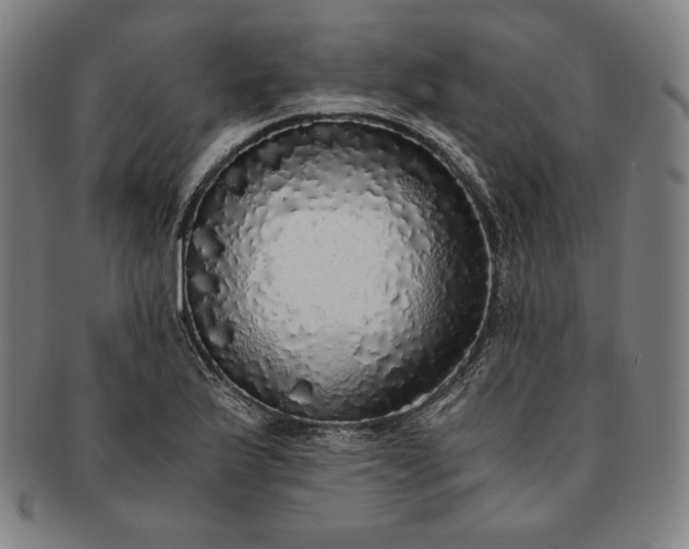 X0000091201175200708231524