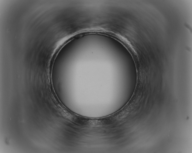 X0000091201176200708231524
