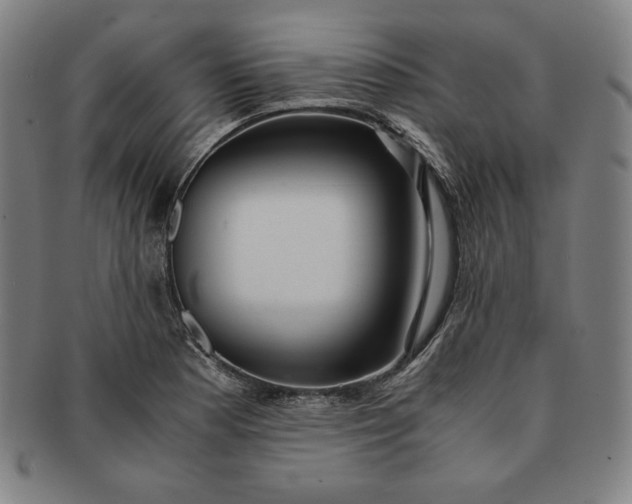 X0000091201177200708231524