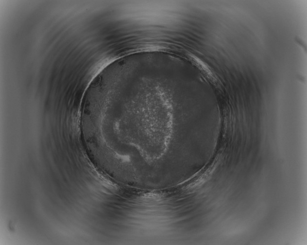X0000091201178200708231524