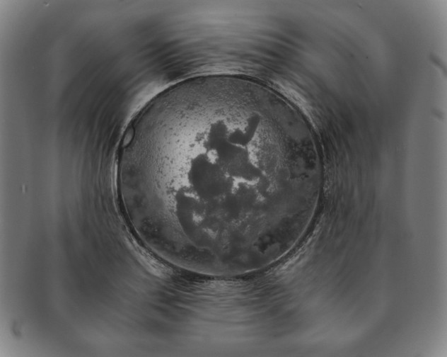 X0000091201179200708231524