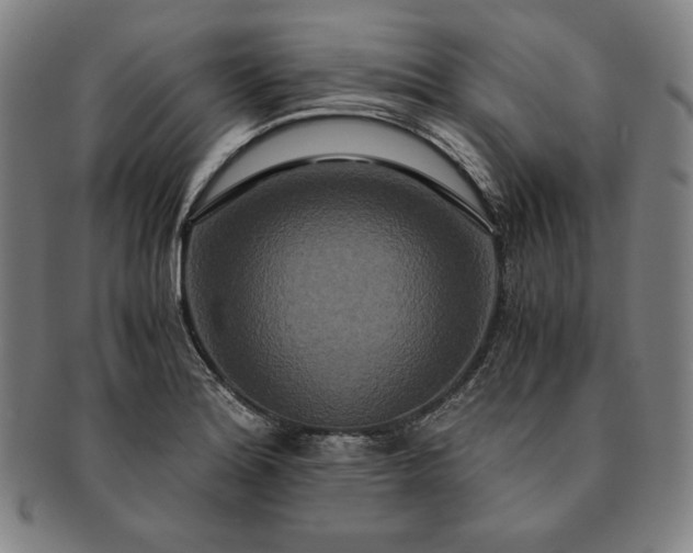 X0000091201180200708231524