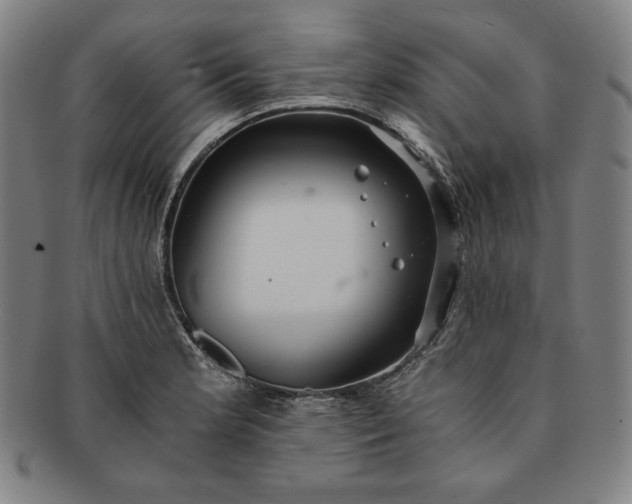 X0000091201181200708231523