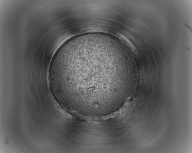 X0000091201182200708231523