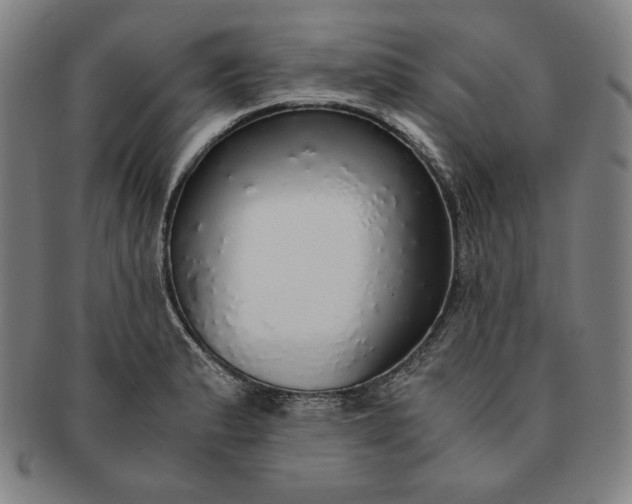 X0000091201183200708231523