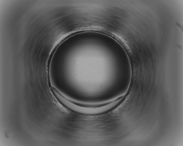 X0000091201184200708231523