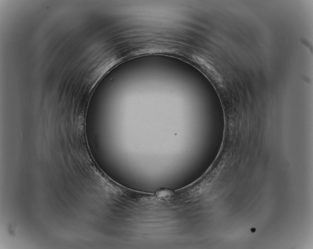 X0000091201185200708231523