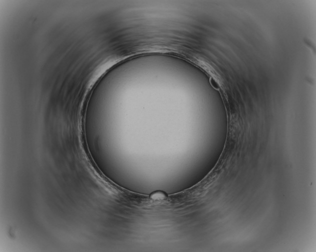 X0000091201187200708231523