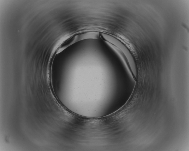 X0000091201188200708231523