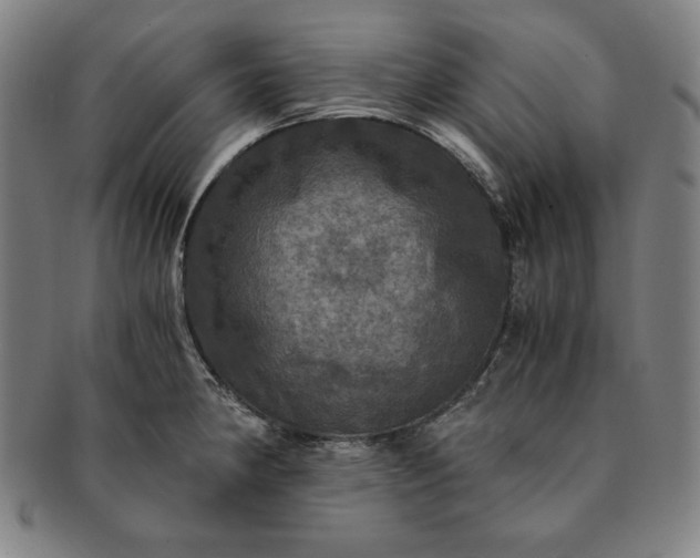 X0000091201190200708231523