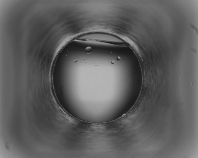 X0000091201191200708231523