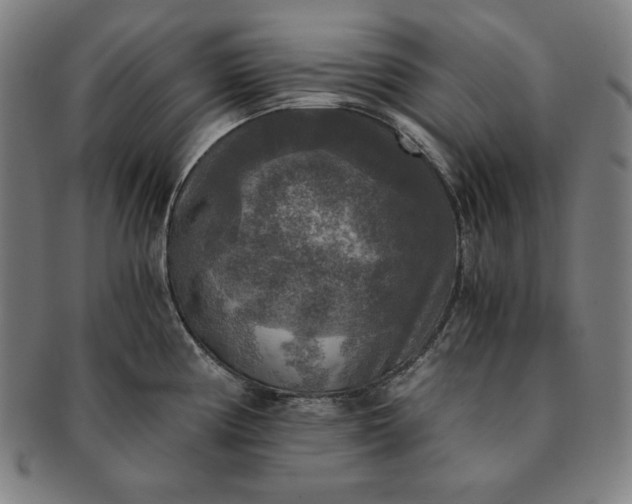 X0000091201194200708231523