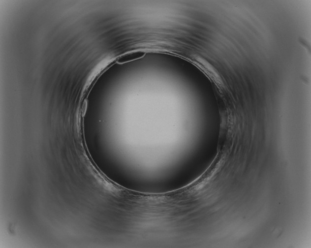 X0000091201196200708231523