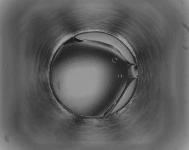 X0000091201197200708231523