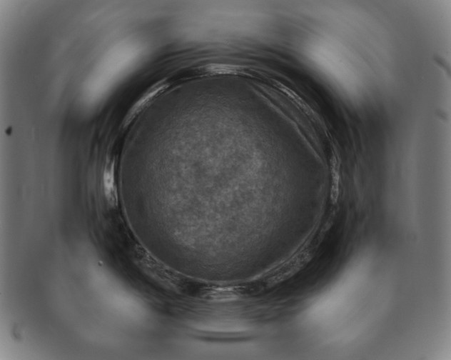 X0000091201198200708231523