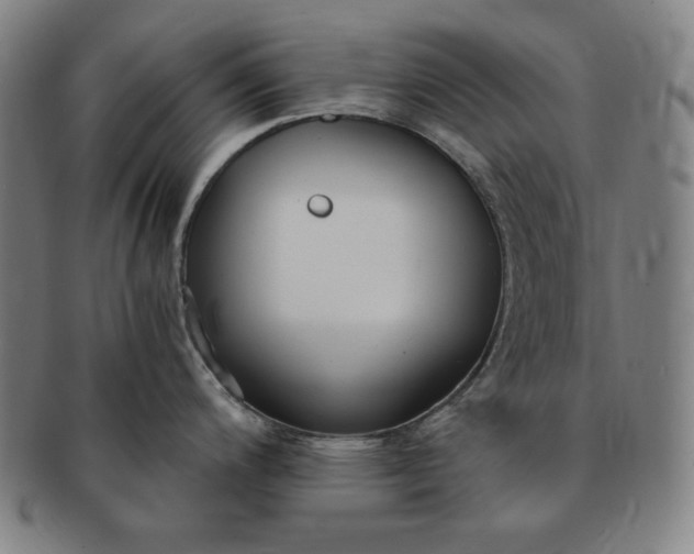 X0000091201200200708231523