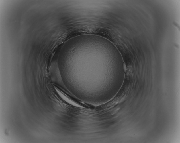 X0000091201202200708231522