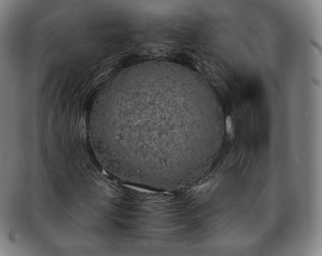 X0000091201203200708231522