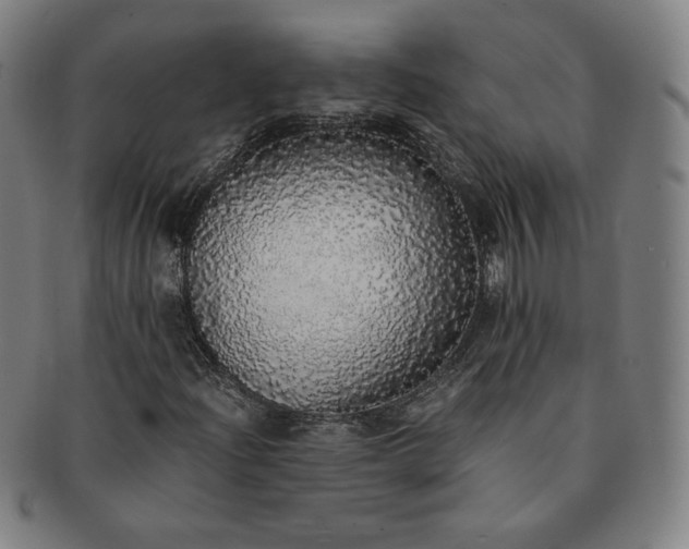 X0000091201204200708231522