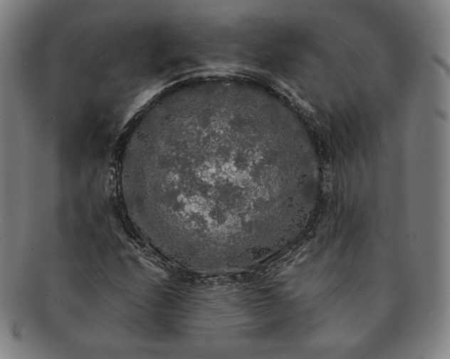 X0000091201208200708231523