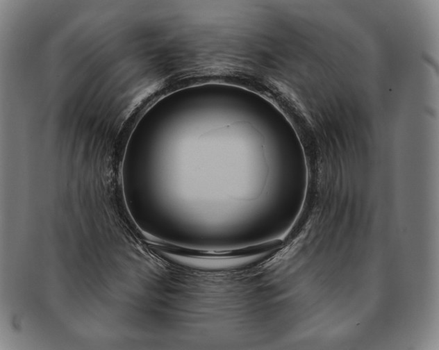 X0000091201210200708231523