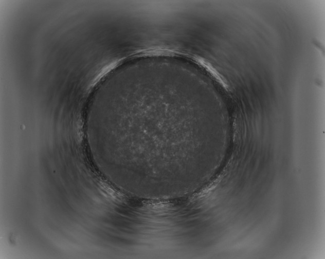 X0000091201213200708231523