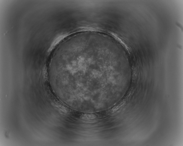 X0000091201215200708231523