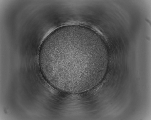 X0000091201216200708231523