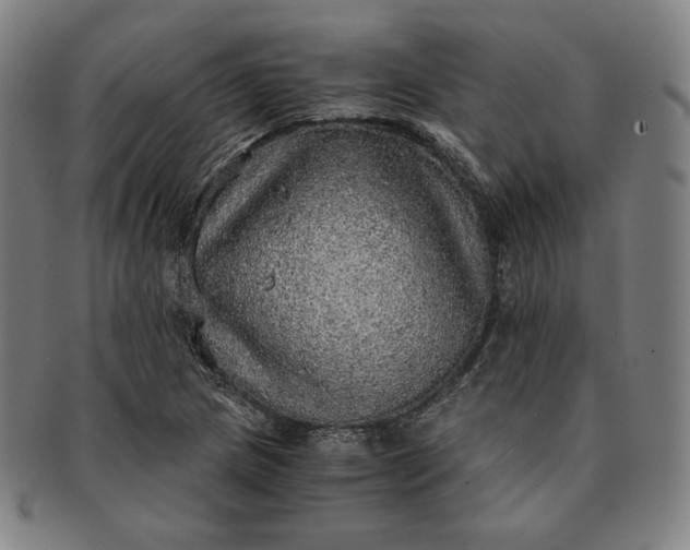 X0000091201217200708231523