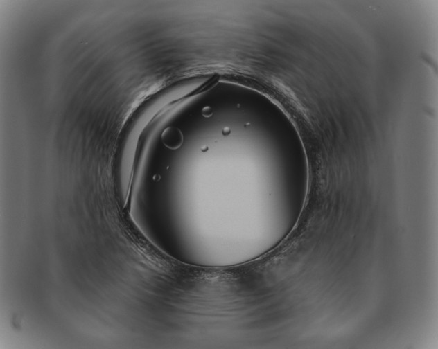 X0000091201218200708231523