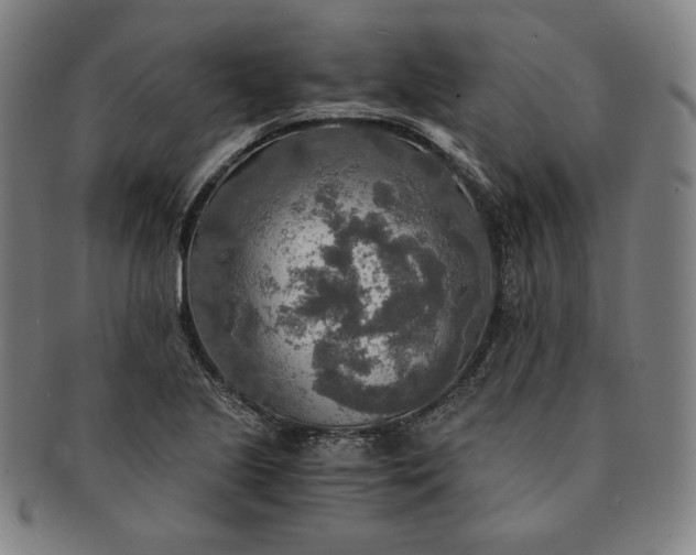 X0000091201221200708231523